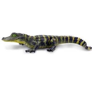 Safari Ltd Alligator Baby