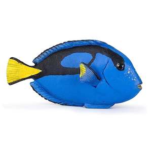 Papo Surgeonfish