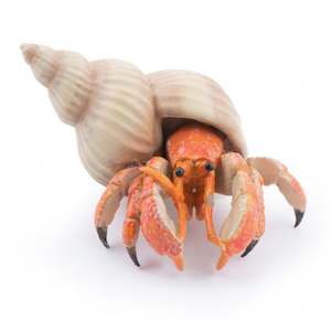 Papo Hermit Crab