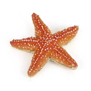 Papo Starfish