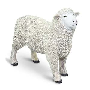 Safari Ltd Sheep