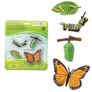 Safari Ltd Life Cycle of a Monarch Butterfly