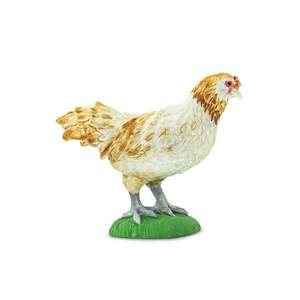 Safari Ltd Ameraucana Chicken