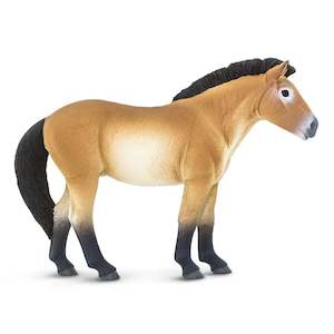 Toy: Safari Ltd Przewalskis Horse