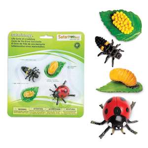 Safari Ltd Life Cycle Of A Ladybug