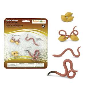 Safari Ltd Life Cycle Of A Worm