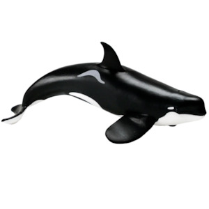 Toy: Safari Ltd Type D Orca