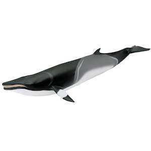 Safari Ltd Minke Whale