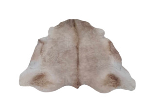 Charolais Cow Hide