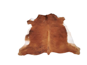 Brown and White Cow Hide