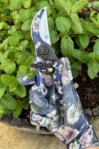 Pruner + Half Price Gardening Gloves - Indigo Trumpet