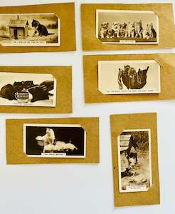 Antique: Set of Six Animal Cigarette Card Upcycled Gift Cards