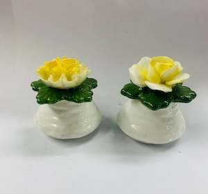 Aynsley fine bone china flower salt and pepper shakers