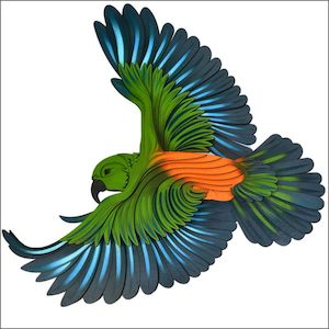 Kea wall art - Oh wow, the colours - Aotearoa.co.nz