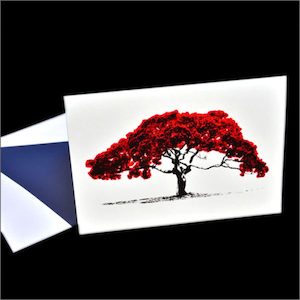 Artearoa pohutukawa pop-art cards - Aotearoa.co.nz