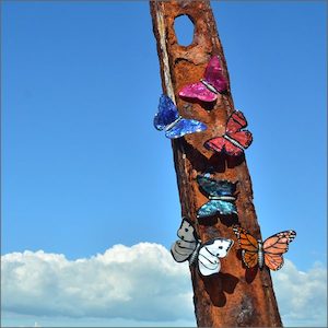 Paua shell butterflies - Aotearoa.co.nz - Bold and beautiful