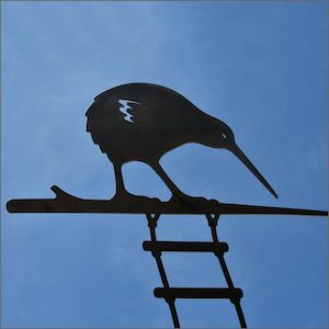 Metalbird kiwi - Another great gift Aotearoa.co.nz