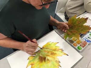 Artist supply: Sandra Morris Watercolour Class Set