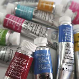 Winsor and Newton Professional Watercolour Paint 5ml