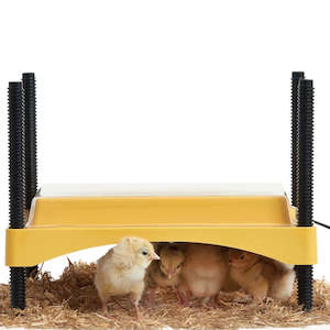 Brinsea EcoGlow Safety 600 Chick Brooder | Heat Plate