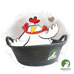 Dust Bath Bowl Kit | Appletons