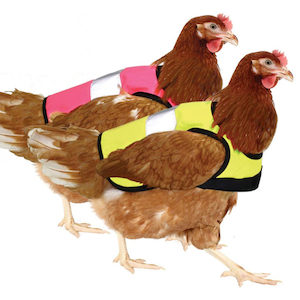 Potting mix manufacturing and packaging: Hi-Vis Chicken Jackets | Omlet