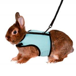 Soft Harness | Rabbits