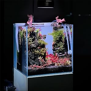 Tank: Landen ALL-IN-ONE Freshwater Aquarium Tank