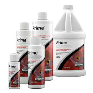 Fresh Water: Prime