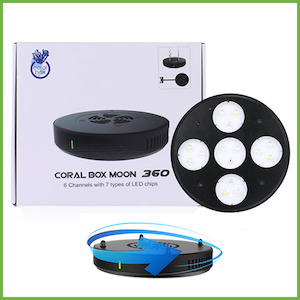 Pet: Coral Box Moon 360 LED