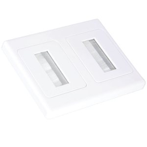 2 Gang Brush Wall Plate