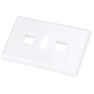 2 Hole Keystone plus VGA Face Plate