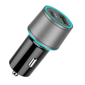 Plant, garden: Pronto Type-C & USB Quick Car Charger