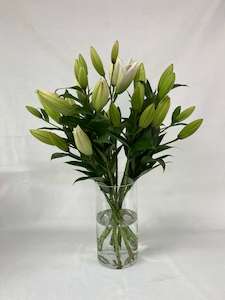 Fragrant Lilies