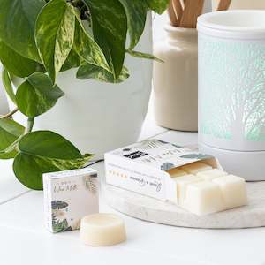 Scented Melts: Skye Soy Wax Melts