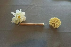 Bamboo Dish Brush