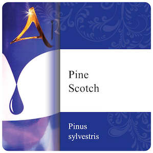 Pine Scotch Essential Oil