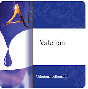 Valerian Essential Oil