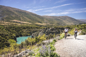 Arrowtown-Based Full Day Ride