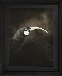 Art gallery: Huia