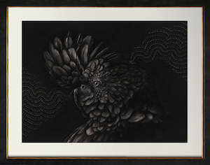 Art gallery: Black Cockatoo