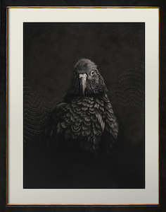 Art gallery: Kea