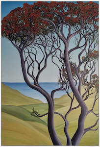 Awhitu Pohutukawa