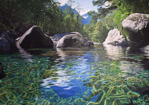 Chasm Rockpool - Milford Sounds 3