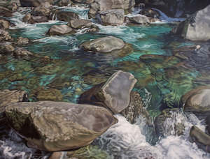 Chasm Rockpool - Milford Sounds 1