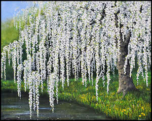 Art gallery: The Cherry Blossom Tree