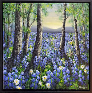 Bluebell Fields