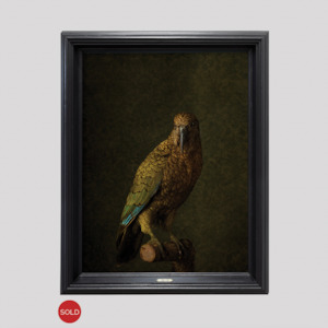 Kea No.1 - Edition 2/5