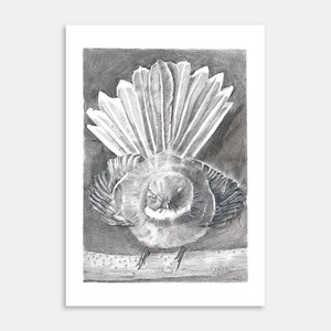 Fantail Art Print By Dawn Duthie