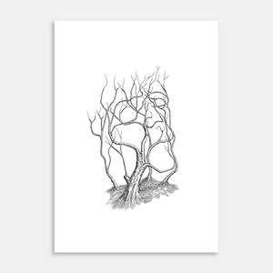 Natures Visage Art Print By William Lampen-Smith